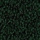 Miyuki seed beads 11/0 - Transparent dark emerald 11-156